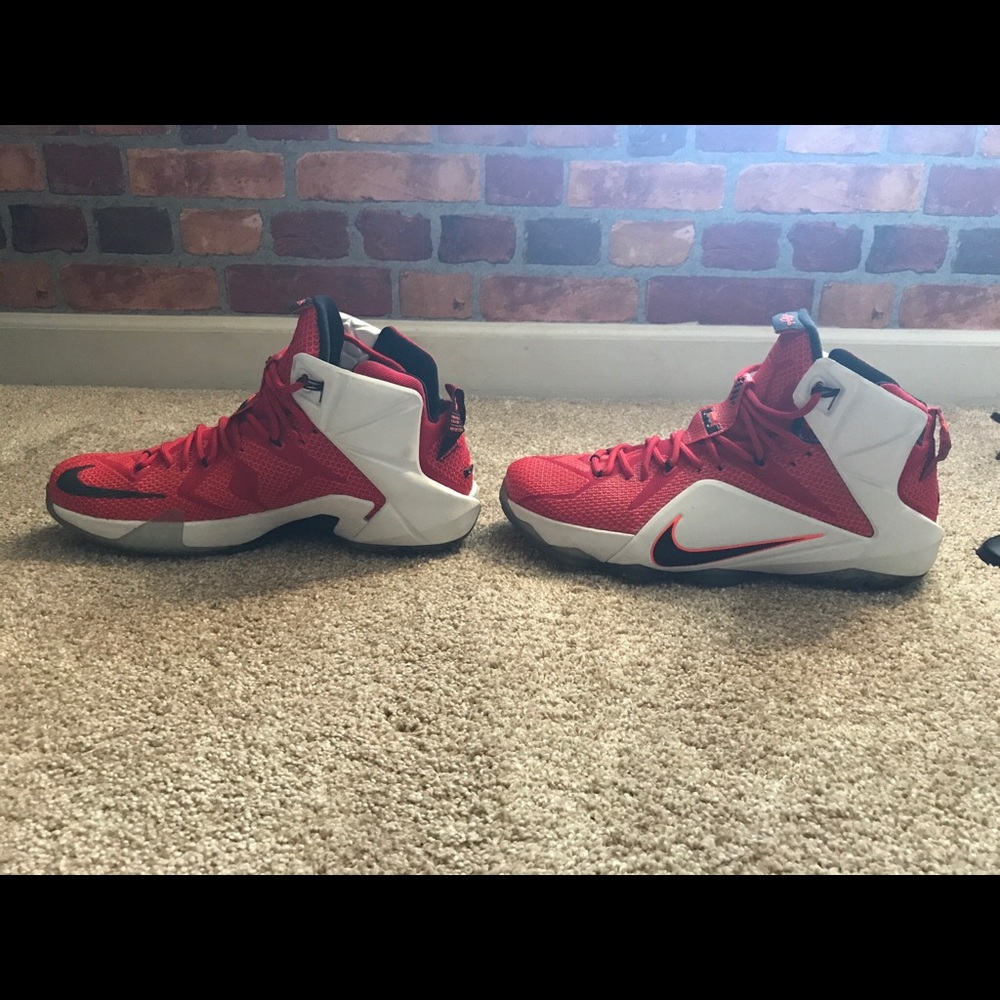Heart of the Lion Lebron sneakers 🔒 SOLD 🔒